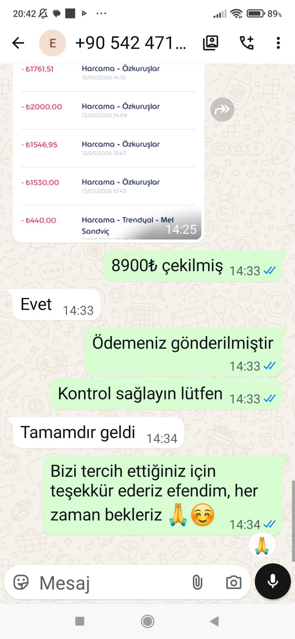 Efekan B.